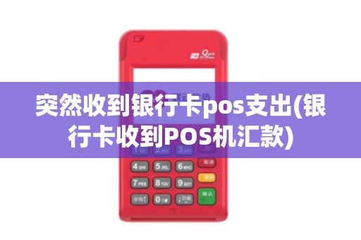 突然收到银行卡pos支出(银行卡收到POS机汇款)