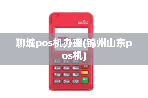 聊城pos机办理(锦州山东pos机)