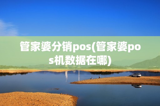 管家婆分销pos(管家婆pos机数据在哪)