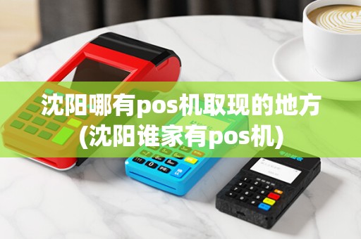 沈阳哪有pos机取现的地方(沈阳谁家有pos机)