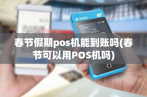 春节假期pos机能到账吗(春节可以用POS机吗)