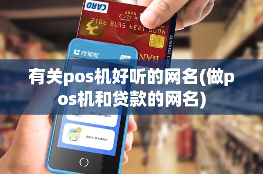 有关pos机好听的网名(做pos机和贷款的网名)
