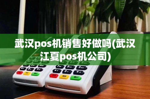 武汉pos机销售好做吗(武汉江夏pos机公司)