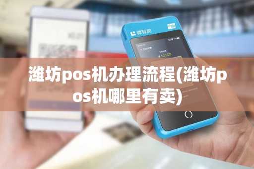 潍坊pos机办理流程(潍坊pos机哪里有卖)