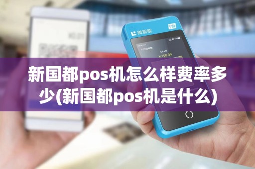 新国都pos机怎么样费率多少(新国都pos机是什么)