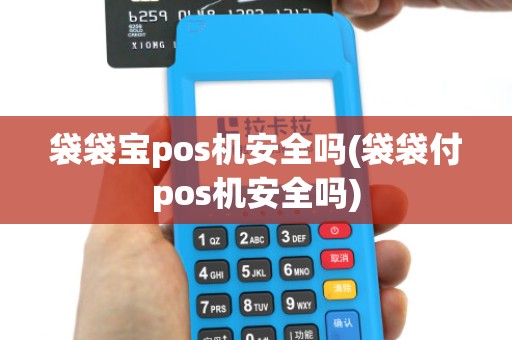 袋袋宝pos机安全吗(袋袋付pos机安全吗)
