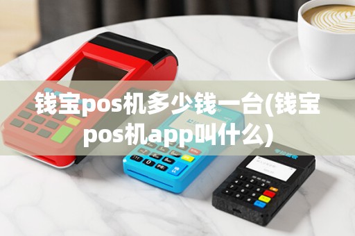 钱宝pos机多少钱一台(钱宝pos机app叫什么)