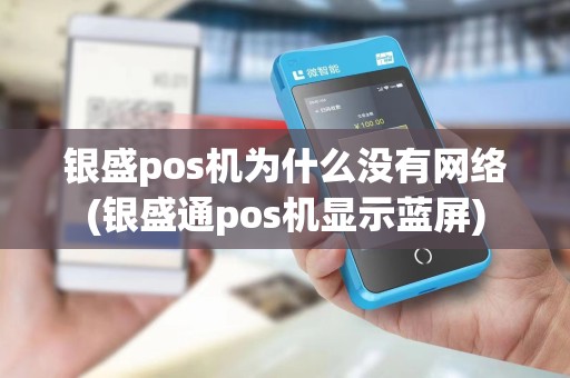 银盛pos机为什么没有网络(银盛通pos机显示蓝屏)