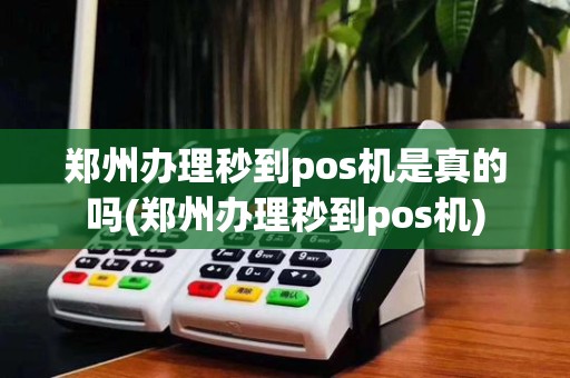 郑州办理秒到pos机是真的吗(郑州办理秒到pos机)