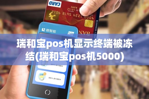 瑞和宝pos机显示终端被冻结(瑞和宝pos机5000)