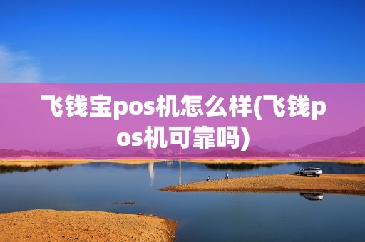 飞钱宝pos机怎么样(飞钱pos机可靠吗)