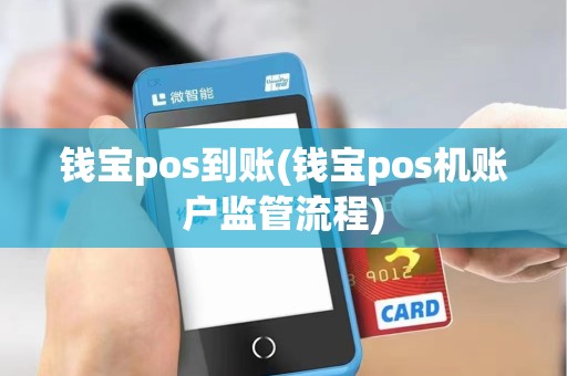 钱宝pos到账(钱宝pos机账户监管流程)