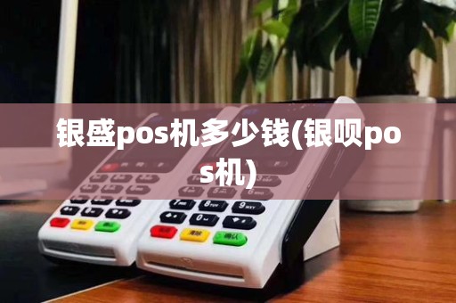 银盛pos机多少钱(银呗pos机)