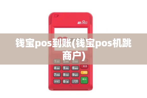 钱宝pos到账(钱宝pos机跳商户)