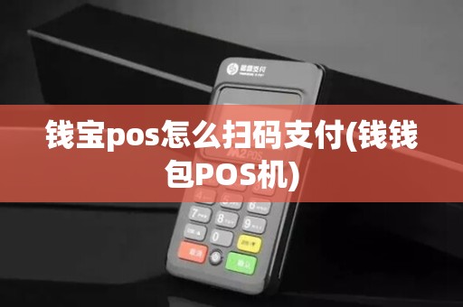钱宝pos怎么扫码支付(钱钱包POS机)