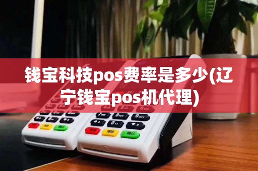 钱宝科技pos费率是多少(辽宁钱宝pos机代理)