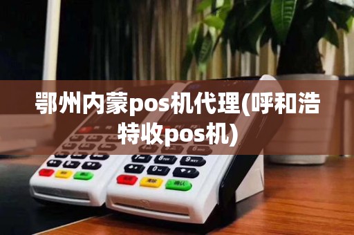 鄂州内蒙pos机代理(呼和浩特收pos机)