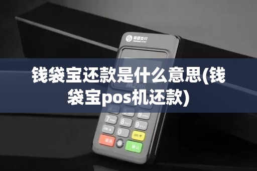 钱袋宝还款是什么意思(钱袋宝pos机还款)