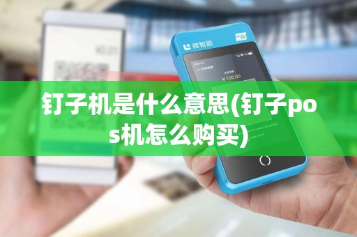 钉子机是什么意思(钉子pos机怎么购买)