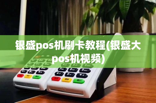 银盛pos机刷卡教程(银盛大pos机视频)