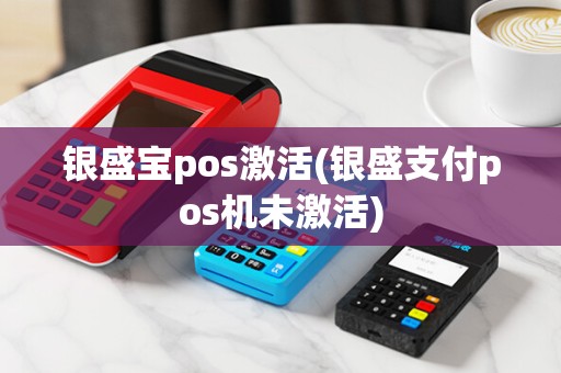 银盛宝pos激活(银盛支付pos机未激活)