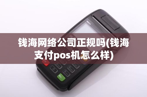 钱海网络公司正规吗(钱海支付pos机怎么样)