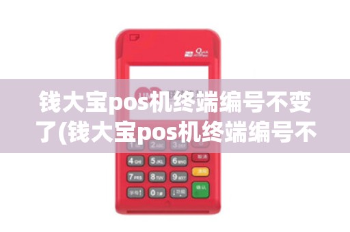 钱大宝pos机终端编号不变了(钱大宝pos机终端编号不变)