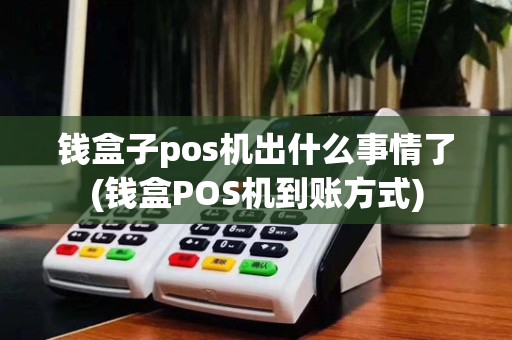 钱盒子pos机出什么事情了(钱盒POS机到账方式)