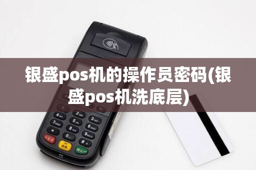 银盛pos机的操作员密码(银盛pos机洗底层)