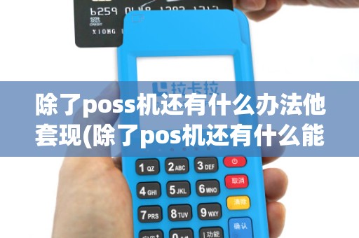 除了poss机还有什么办法他套现(除了pos机还有什么能刷卡)