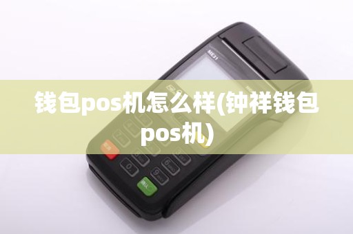 钱包pos机怎么样(钟祥钱包pos机)