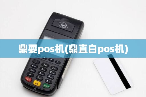 鼎耍pos机(鼎直白pos机)