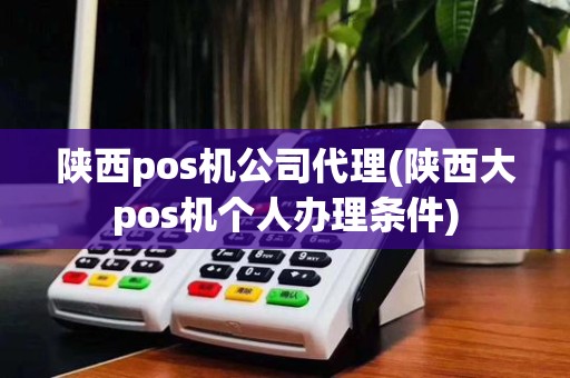 陕西pos机公司代理(陕西大pos机个人办理条件)