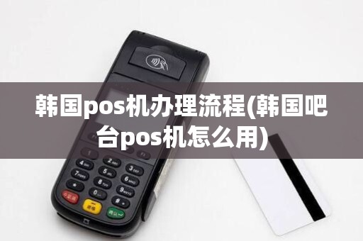 韩国pos机办理流程(韩国吧台pos机怎么用)