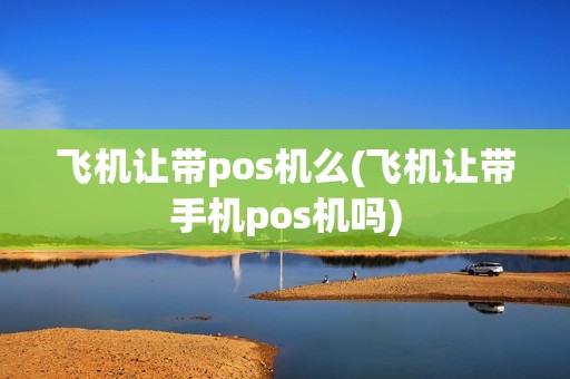 飞机让带pos机么(飞机让带手机pos机吗)