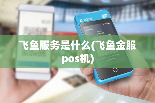 飞鱼服务是什么(飞鱼金服pos机)