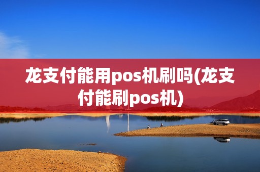 龙支付能用pos机刷吗(龙支付能刷pos机)
