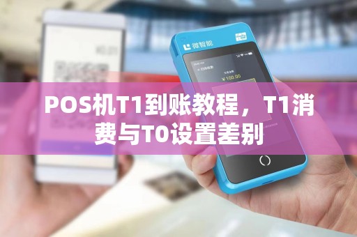 POS机T1到账教程，T1消费与T0设置差别