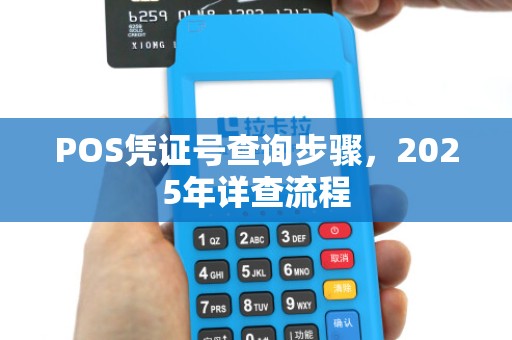 POS凭证号查询步骤，2025年详查流程
