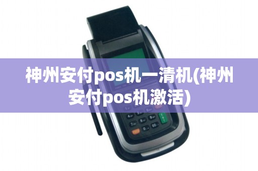 神州安付pos机一清机(神州安付pos机激活)