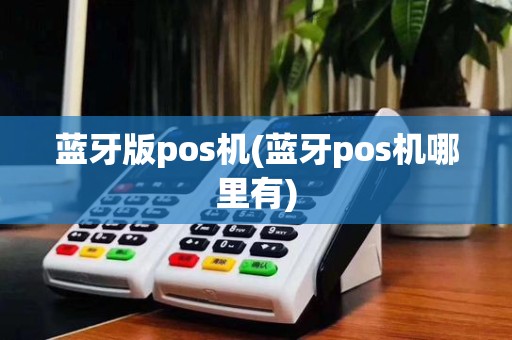 蓝牙版pos机(蓝牙pos机哪里有)