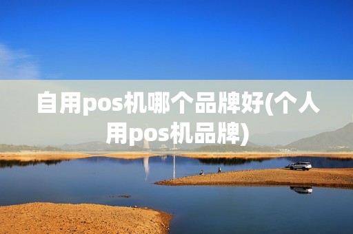自用pos机哪个品牌好(个人用pos机品牌)