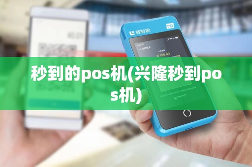 秒到的pos机(兴隆秒到pos机)
