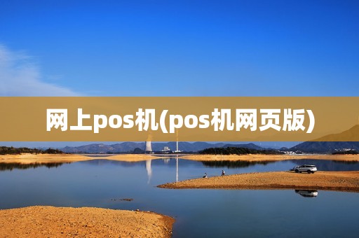 网上pos机(pos机网页版)