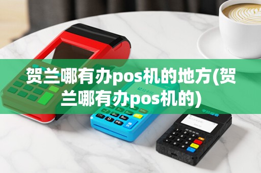 贺兰哪有办pos机的地方(贺兰哪有办pos机的)