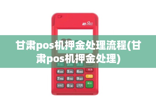 甘肃pos机押金处理流程(甘肃pos机押金处理)