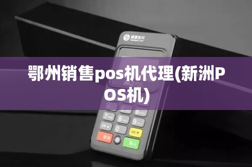 鄂州销售pos机代理(新洲POS机)