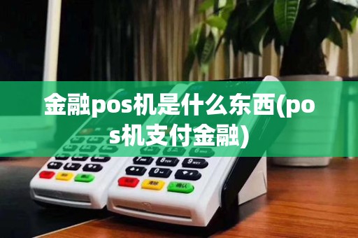 金融pos机是什么东西(pos机支付金融)