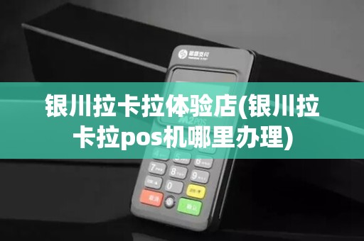 银川拉卡拉体验店(银川拉卡拉pos机哪里办理)