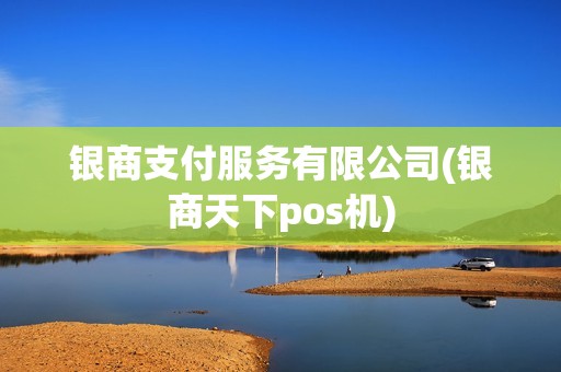 银商支付服务有限公司(银商天下pos机)